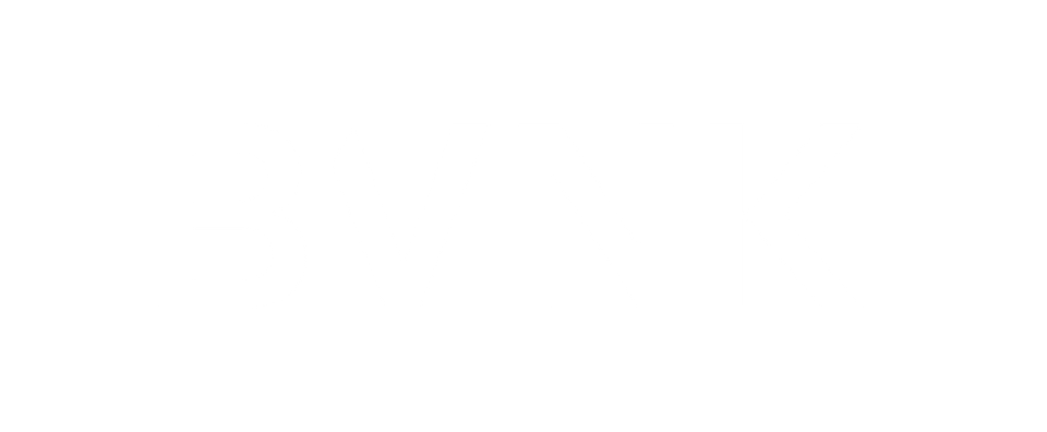 BVNK logo