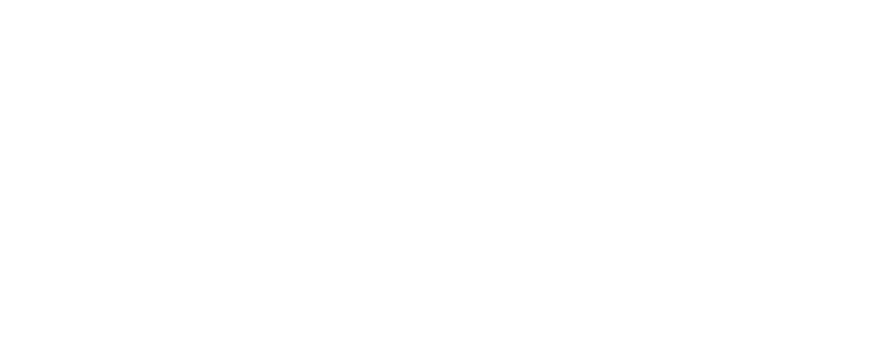 ZIVOE logo