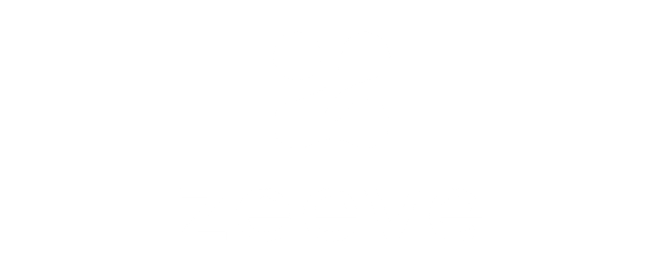 Zeeve logo