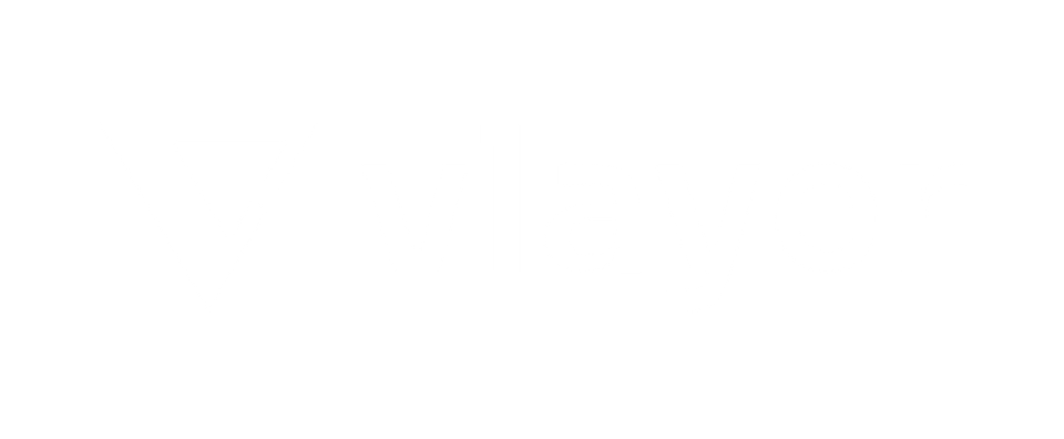 vlayer logo